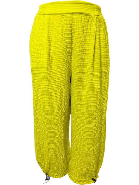 Andi Pant in Lime
