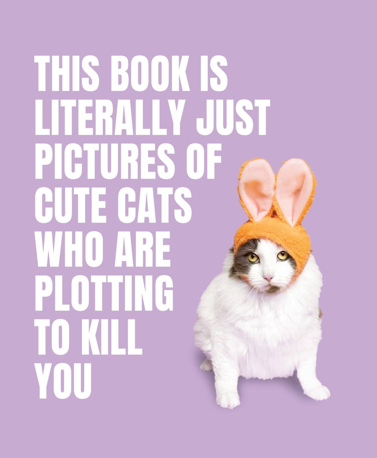 Literally Cute Cats Plot Kill