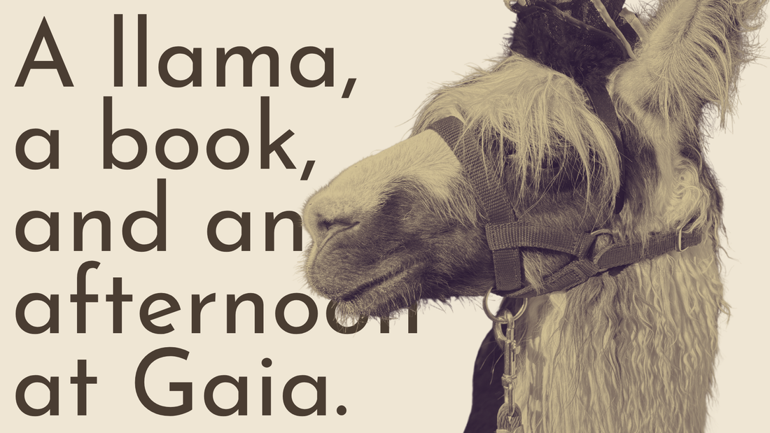 Meet Katy Torney & Fritz the Llama this Saturday at Gaia
