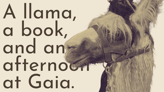 Meet Katy Torney & Fritz the Llama this Saturday at Gaia