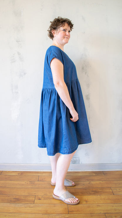 Denim V-Neck Dress with Cap Sleeves