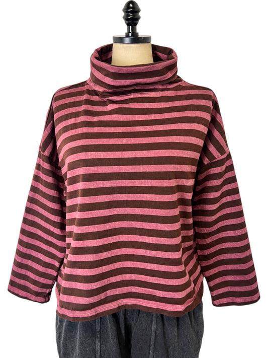 Crop Turtleneck in Garnet Stripe