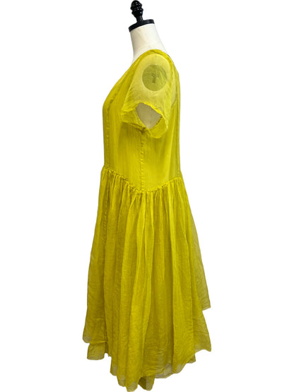 Second Glance Dress in Yellow