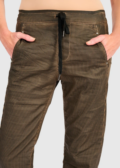 Pinstripe Iconic Stretch Jeans in Brown