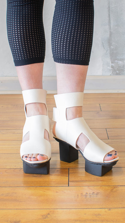 Schema Platform in White