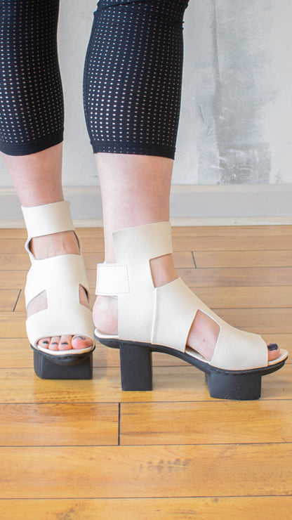 Schema Platform in White